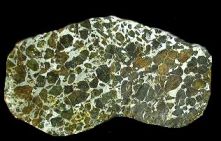 Pallasite from Brahin, Russia